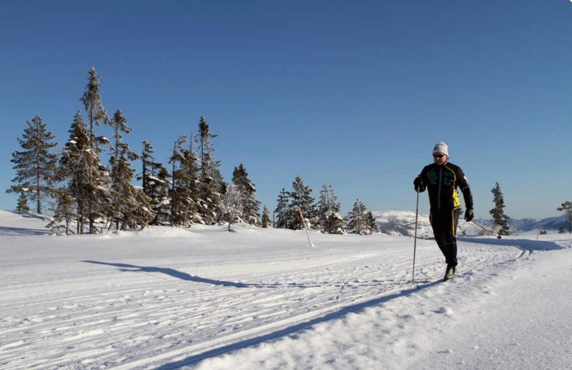 Norbel Hytte Norway Vradal Bagian luar foto